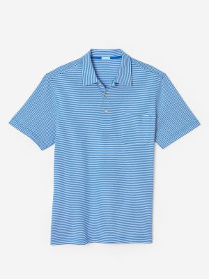 Callahan Cotton Polo in Stripe